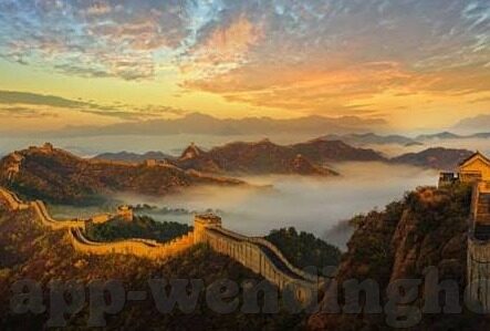 单届世界杯助攻王-单届世界杯助攻王，梅西的传奇之旅