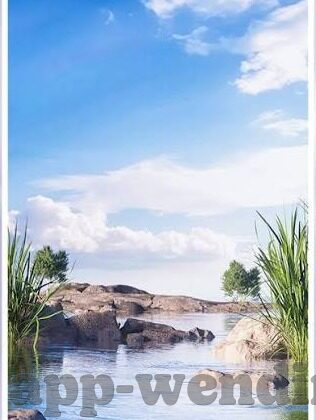 杏彩娱乐 招商 60447-杏彩娱乐招商，探索60447背后的商业机遇