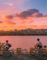 足球既实时比分-足球实时比分背后的激情与策略，一场永不落幕的数字盛宴
